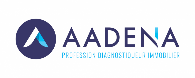 DIAGNOSTIQUEUR ANGERS