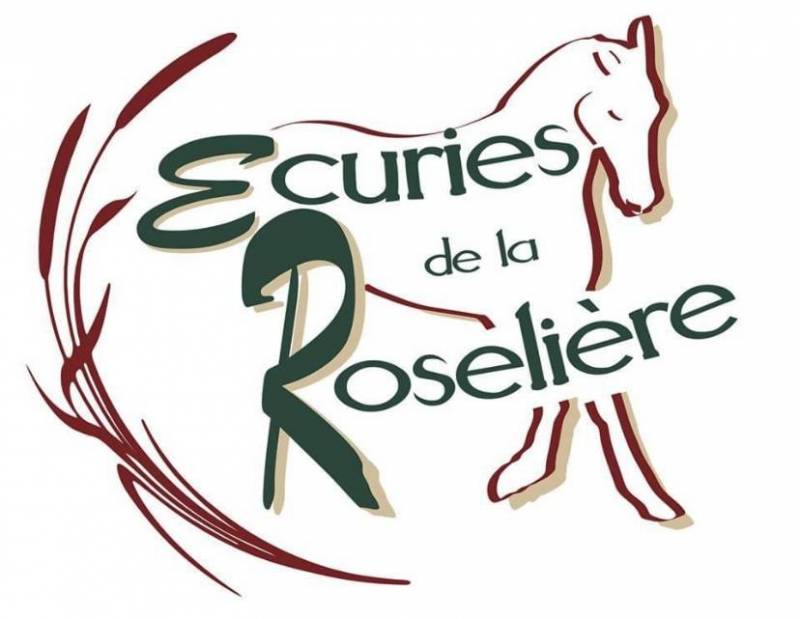 Club d'équitation - Polo BRION Ecuries de la Roselière
